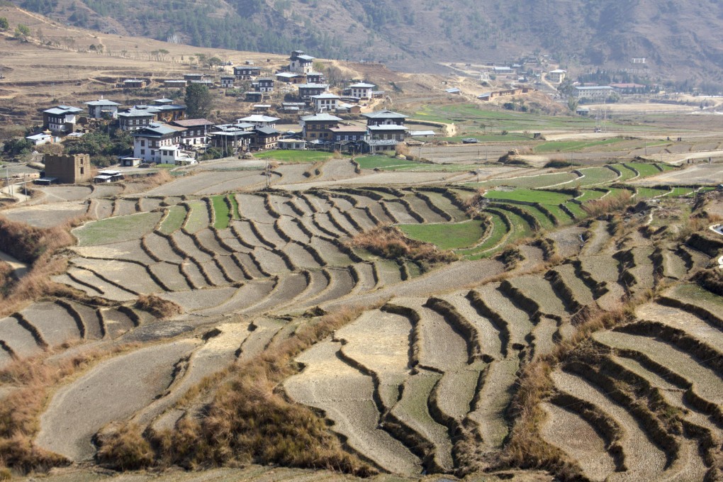 Farm terraces in the Punakha valley. Photo: SCMP Pictures