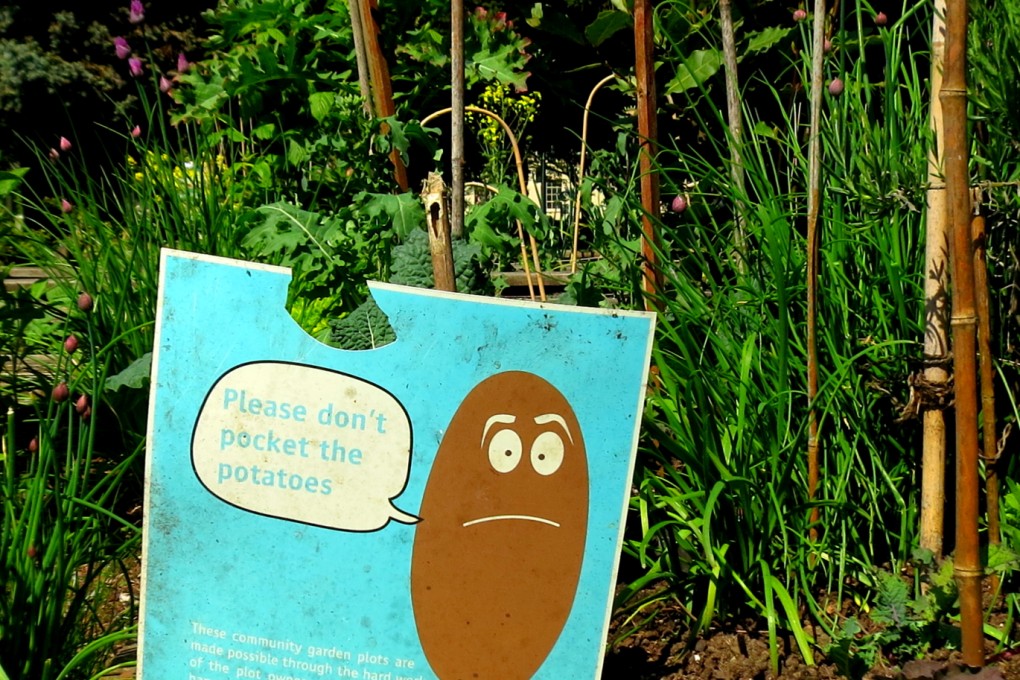 “Don’t pocket the potatoes”. An anti-theft sign in a Vancouver community garden. Credit: Ian Young