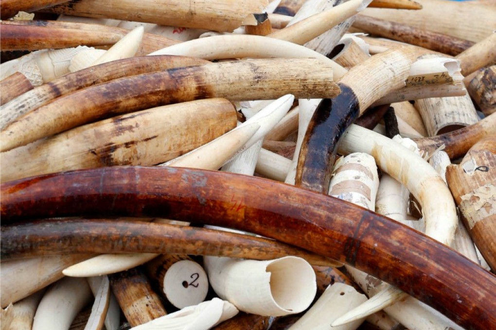 The AFCD will burn three tonnes of its 28-tonne stockpile on Thursday. Photo: Reuters