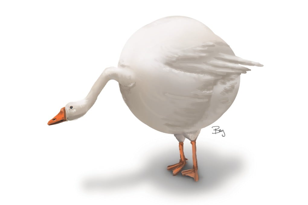 Illustration: Bay Leung