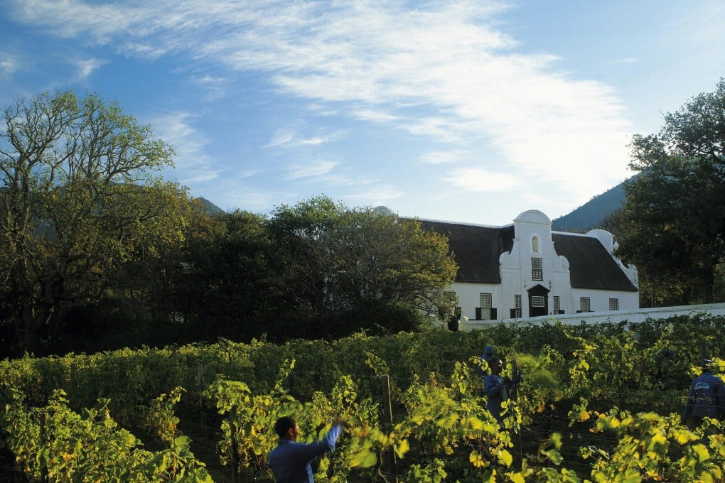 Wine is one of the many attractions for Chinese firms in South Africa after Perfect (China) acquired the Val de Vie estate. Photo: SCMP
