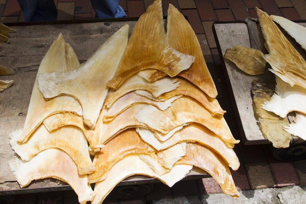 North Korea paid HK$3,200 per kilogram for 5kg of shark fin from Hong Kong