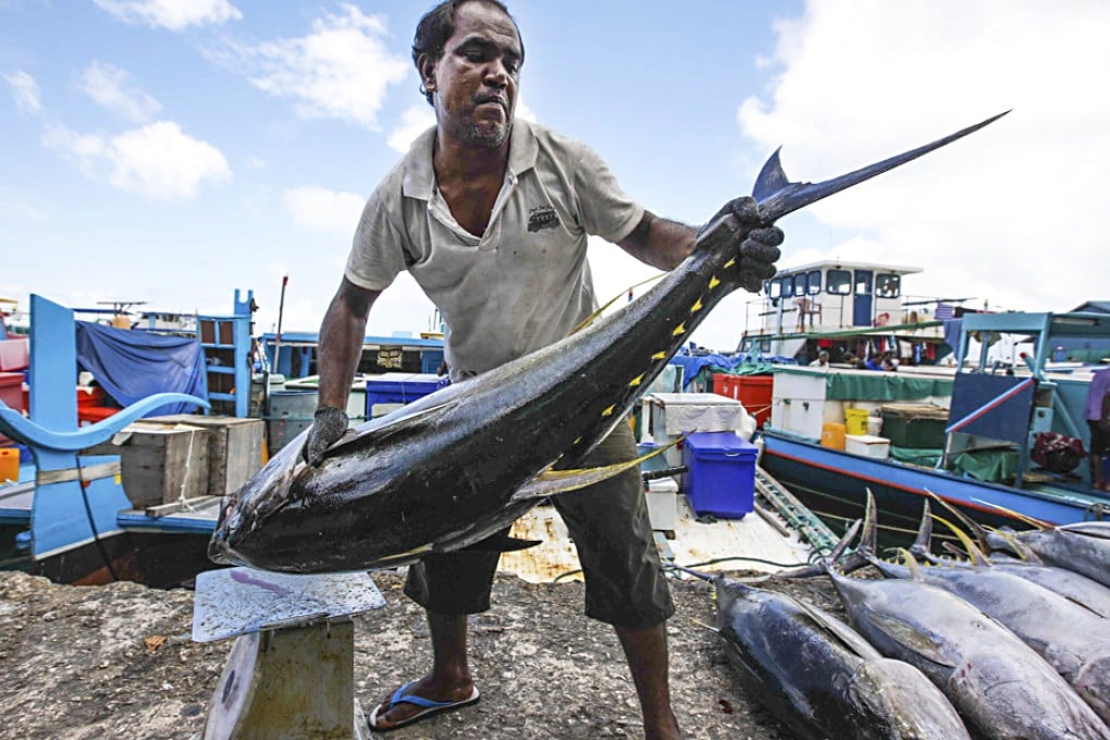 Tuna is the fish of choice in the Maldives. Photo: Corbis