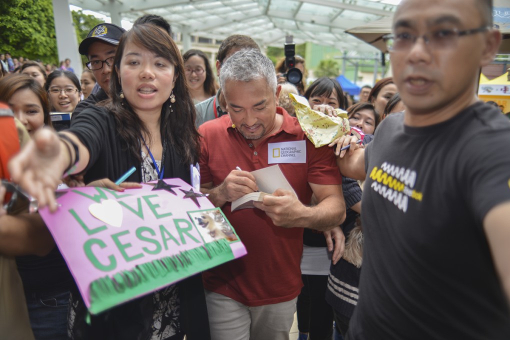 Cesar Millan in Stanley Plaza last month. Photos: Antony Dickson