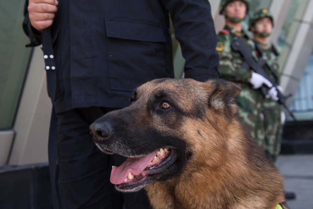 Armed policeman and his dog on patrol outside a subway station in Beijing. Police have dispatched 650 K9 police dogs to patrol the streets of the capital. Photo: AFP