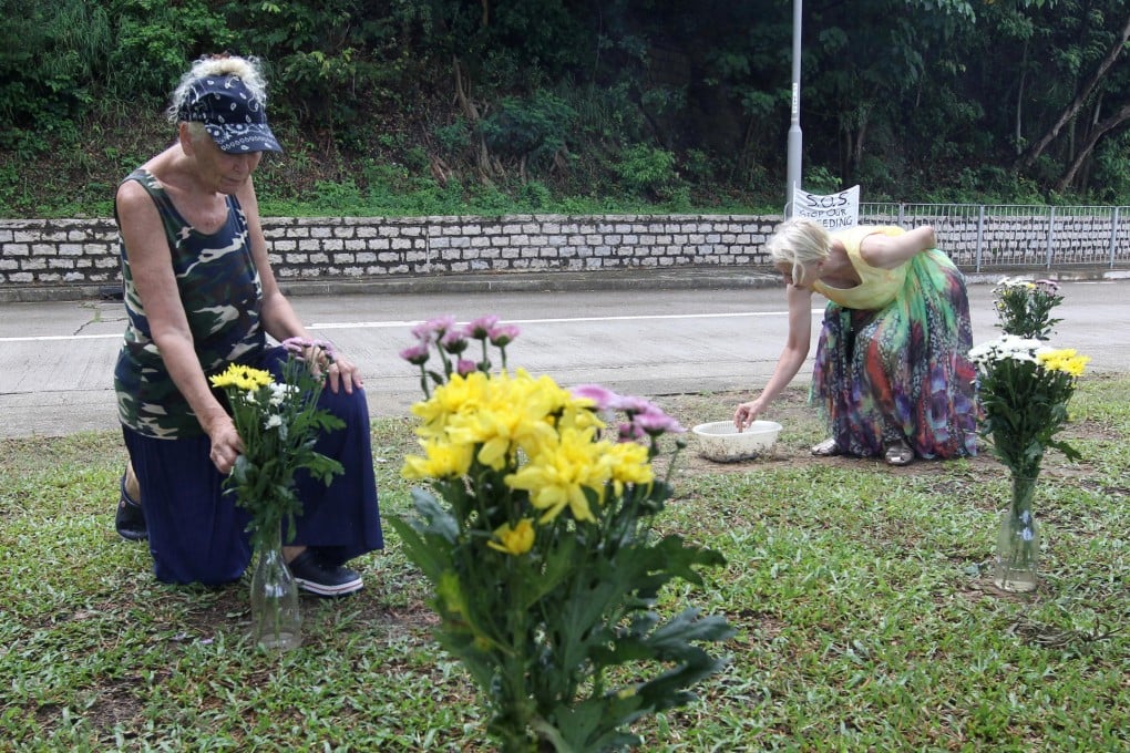Jacqui Green and Tai O Community Cattle Group campaigner Kathleen Daxon at yesterday's memorial. Photo: Edward Wong