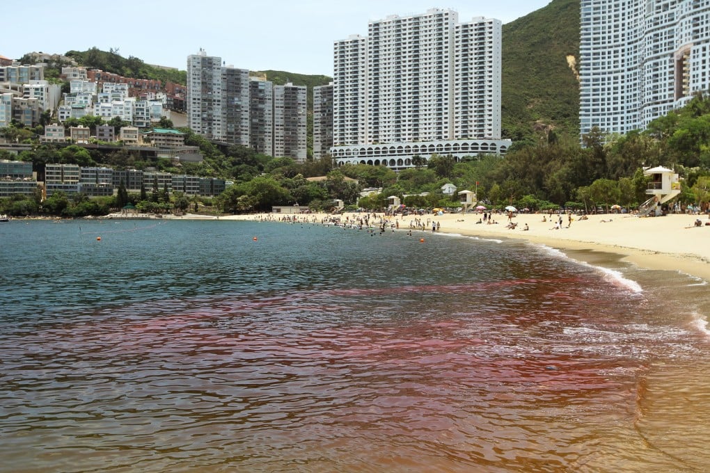 Red tide problems at Repulse Bay beach. Photo: Edward Wong