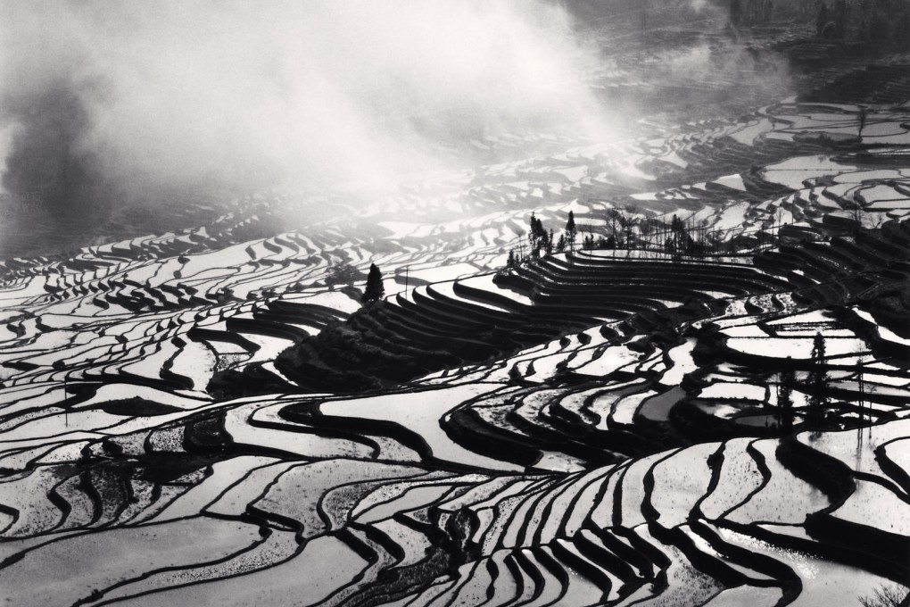 Paddy power: Michael Kenna's Yuanyuang Study 4 from his solo exhibtion.