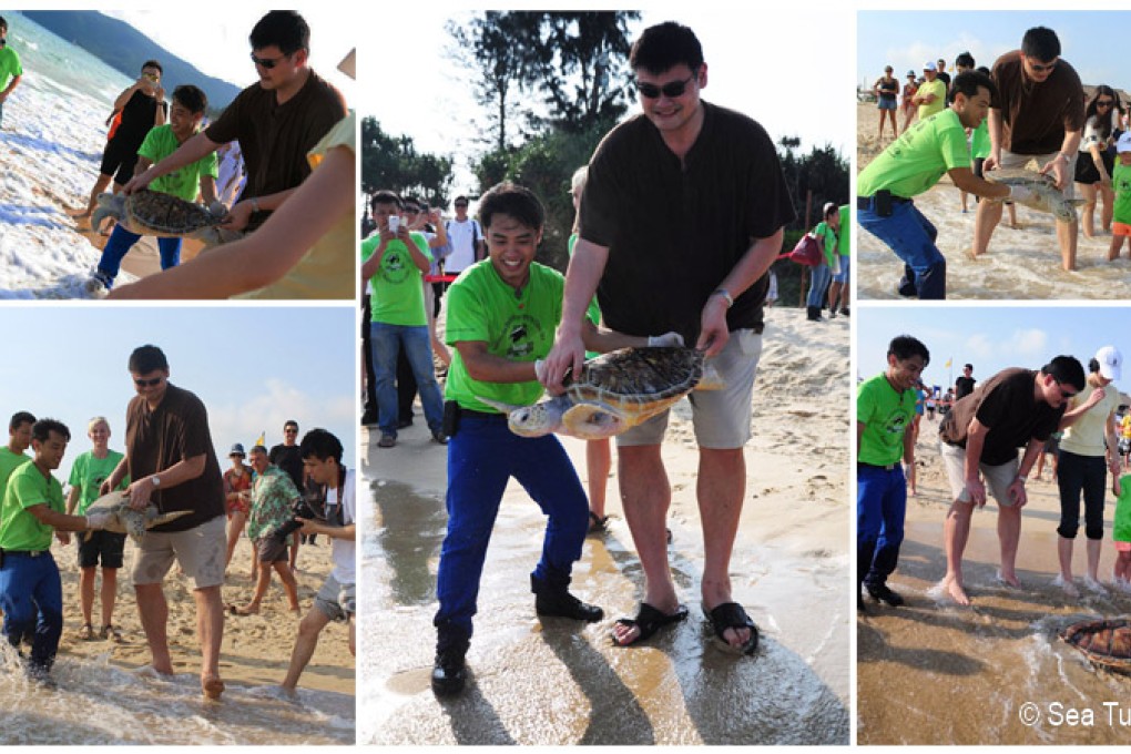 Yao Ming is seen releasing rescued green sea turtles into the ocean from a beach in Sanya. Photo: Sea Turtles 911