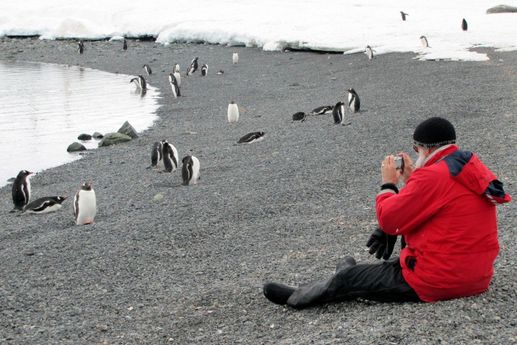 A tourist photographs penguins in Antarctica. Photo: AFP