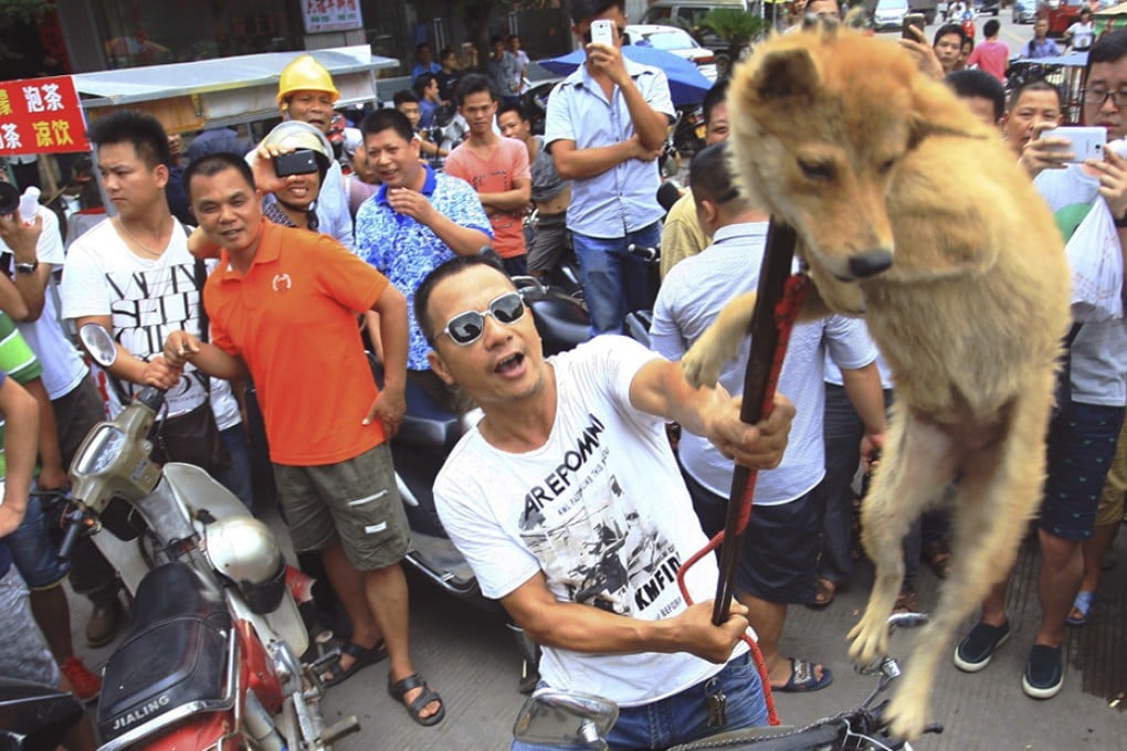 A vendor tortures a dog in front of animal rights activists in an attempt to demand money for the dog in Yulin city. Photo: AP