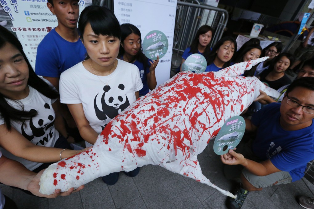 Conservation groups say construction of the third runway will affect the survival of white dolphins in the waters off Lantau. Photo: Felix Wong