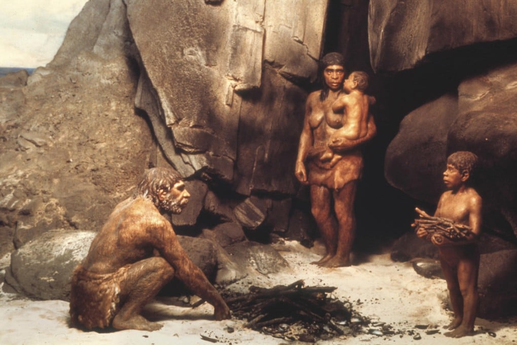 Neanderthals were thought of as solely meat eaters. Photo: NYT