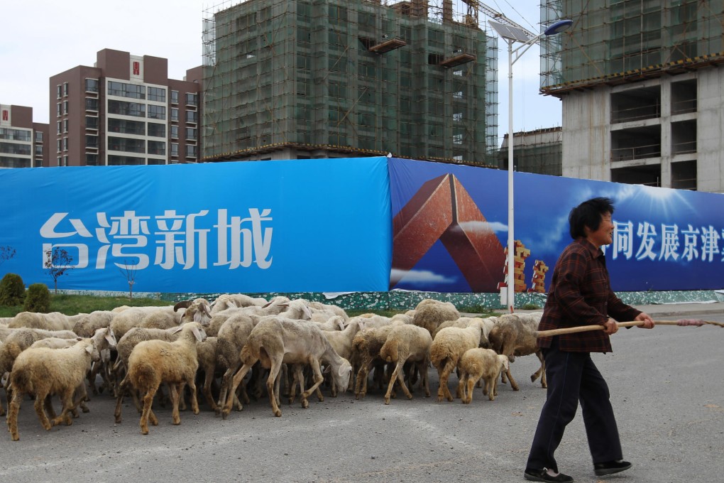 A flock of sheep in the Yongqing Economic Development Zone pass a sign reading "Taiwan New City". Photo: Simon Song