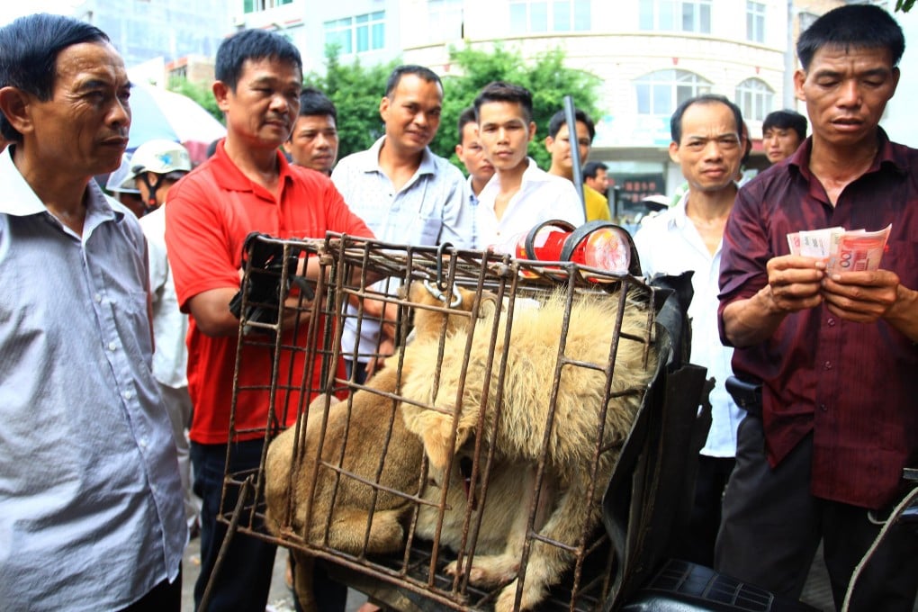 A dog seller (right) with dogs in a cage waiting to be sold in a market in Yulin. Photo: AFP