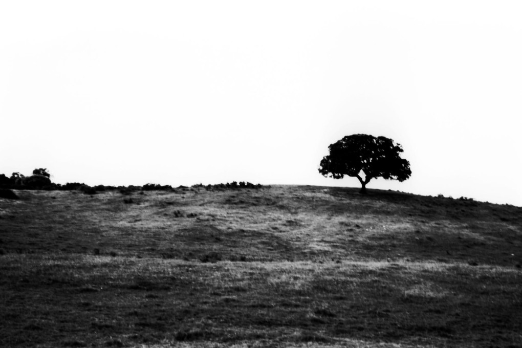 BARE ARMS: untitled images from Isaac Pereira's "Tree" exhibition.