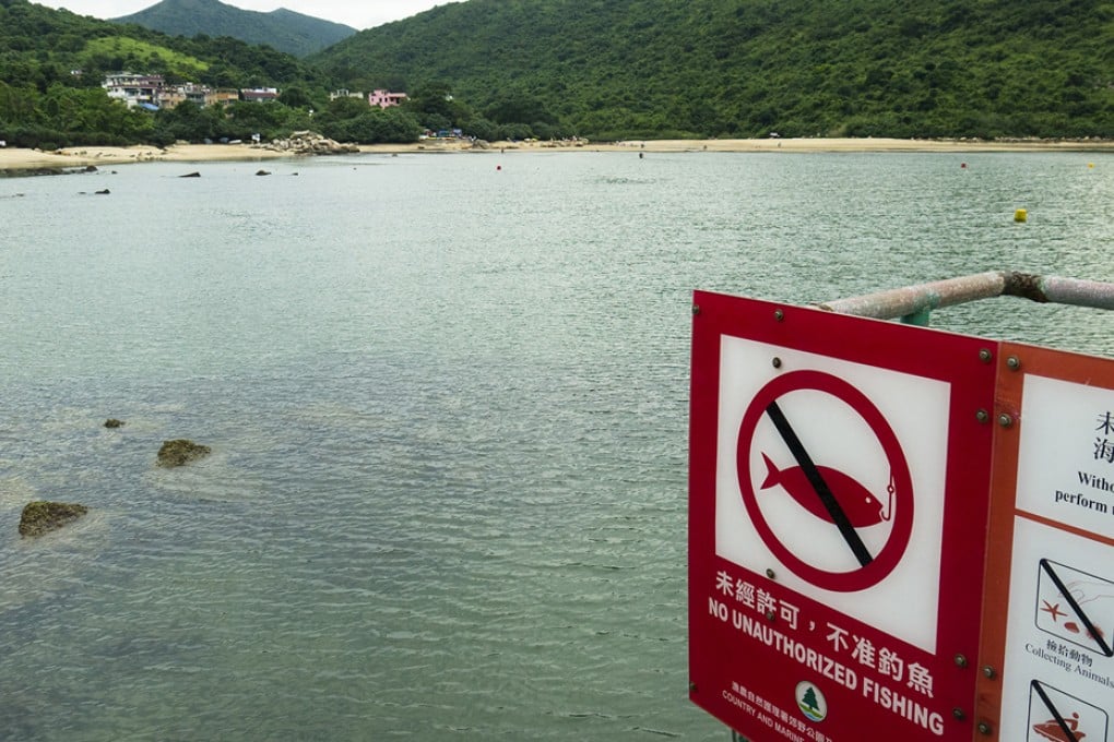 A coral area in Hoi Ha.