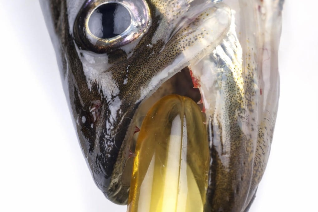 It was thought that the omega-3 fatty acids found in oily fish help to slow the formation of fatty plaques in the arteries.