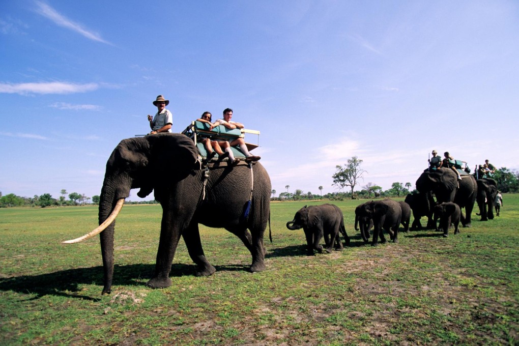 Hot spots: Abu Camp, Botswana