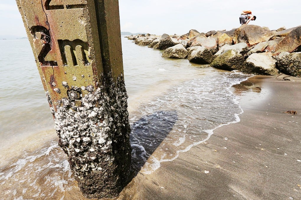 A man inspects shellfish on the shore of Lung Kwu Tan in Tuen Mun, where many clam-diggers have drowned in the past. Photo: Nora Tam
