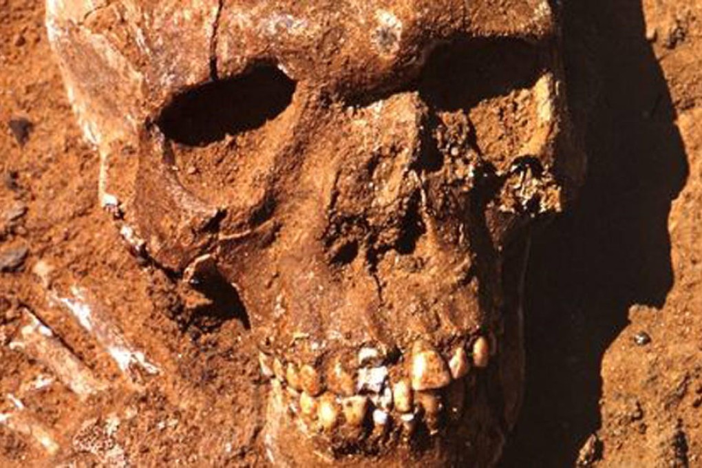 The skeletons were buried with weapons. Photo: The Guardian