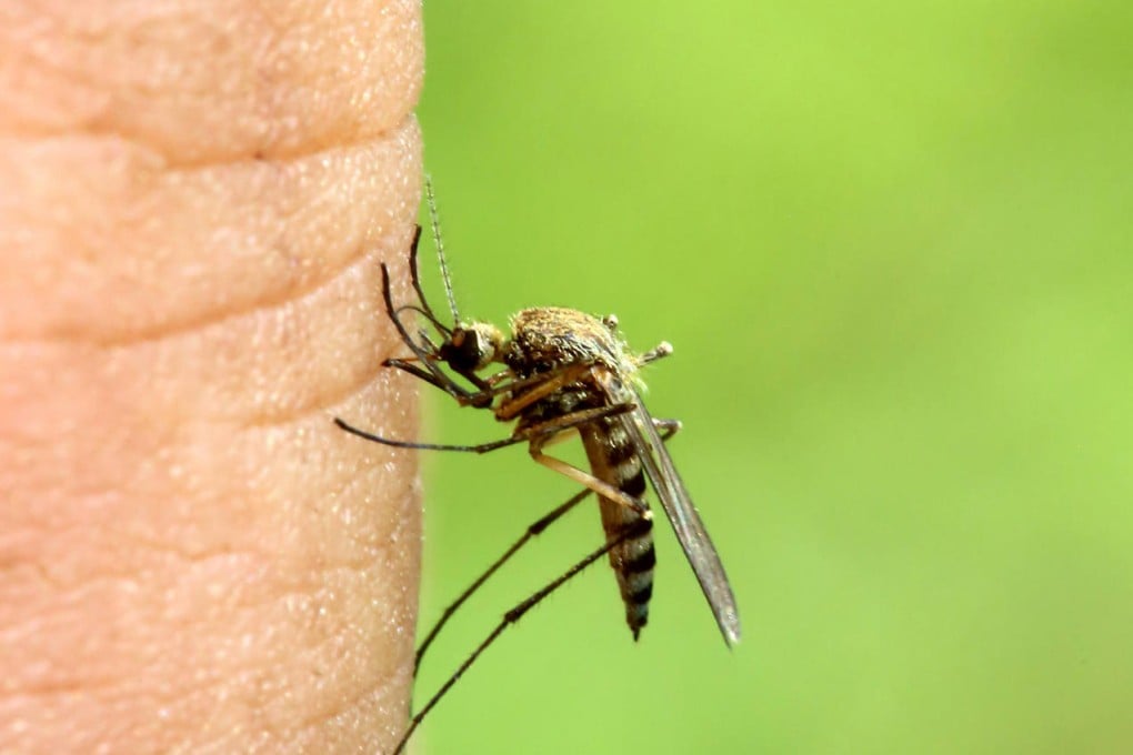 Chikungunya virus is not spread person to person, but rather by the bite of certain mosquitoes.