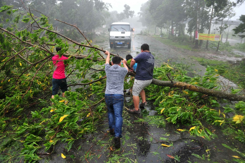 Residents move a fallen tree from a road in Wenchang, near where the typhoon made landfall, in Hainan province. Photo: Xinhua