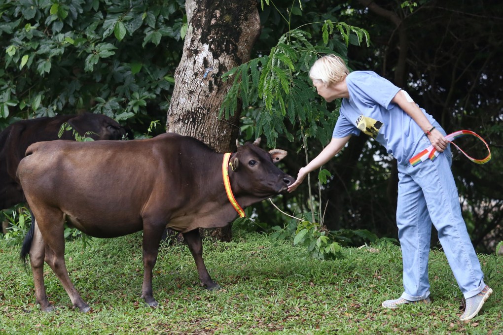 Kathy Daxon of Tai O Community Cattle Group. Photo: Jonathan Wong