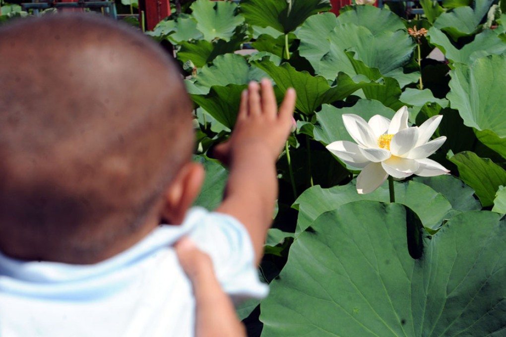 Babies as young as seven months show language responses in crucial parts of brain.