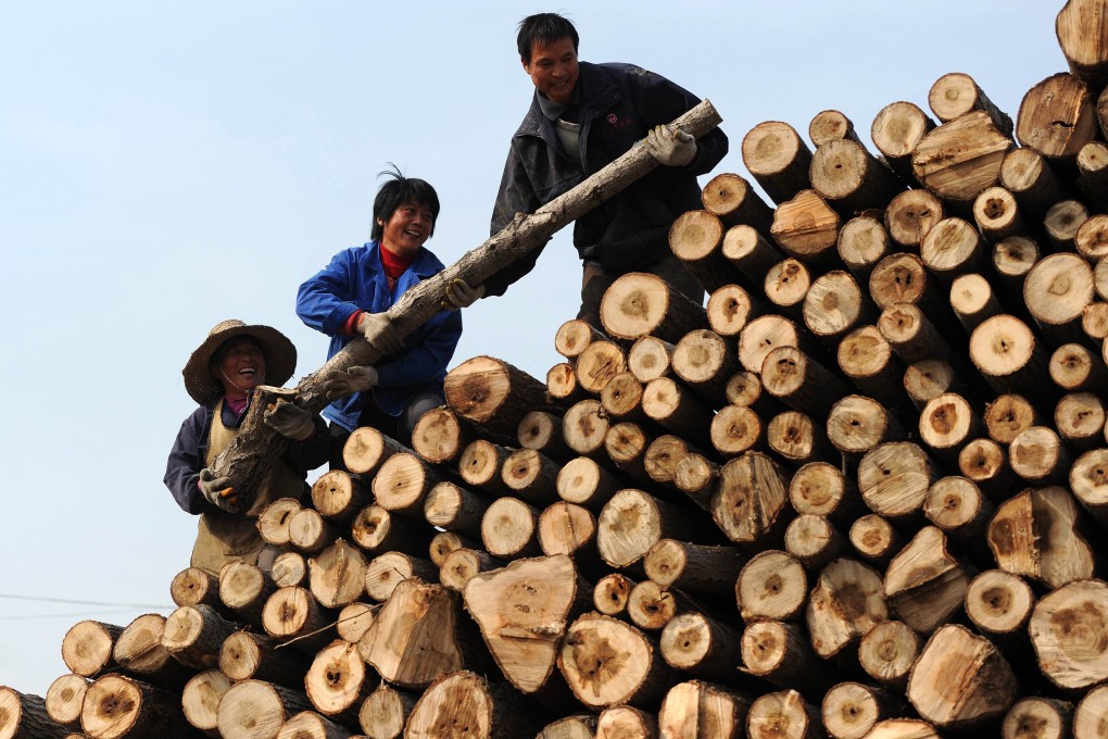 Labourers moving logs at a timber market in Hefei, Anhui. Hong Kong is a popular transit point for both the legal and illegal timber trade, with many of the raw logs redirected to processing factories on the mainland. Photo: AFP