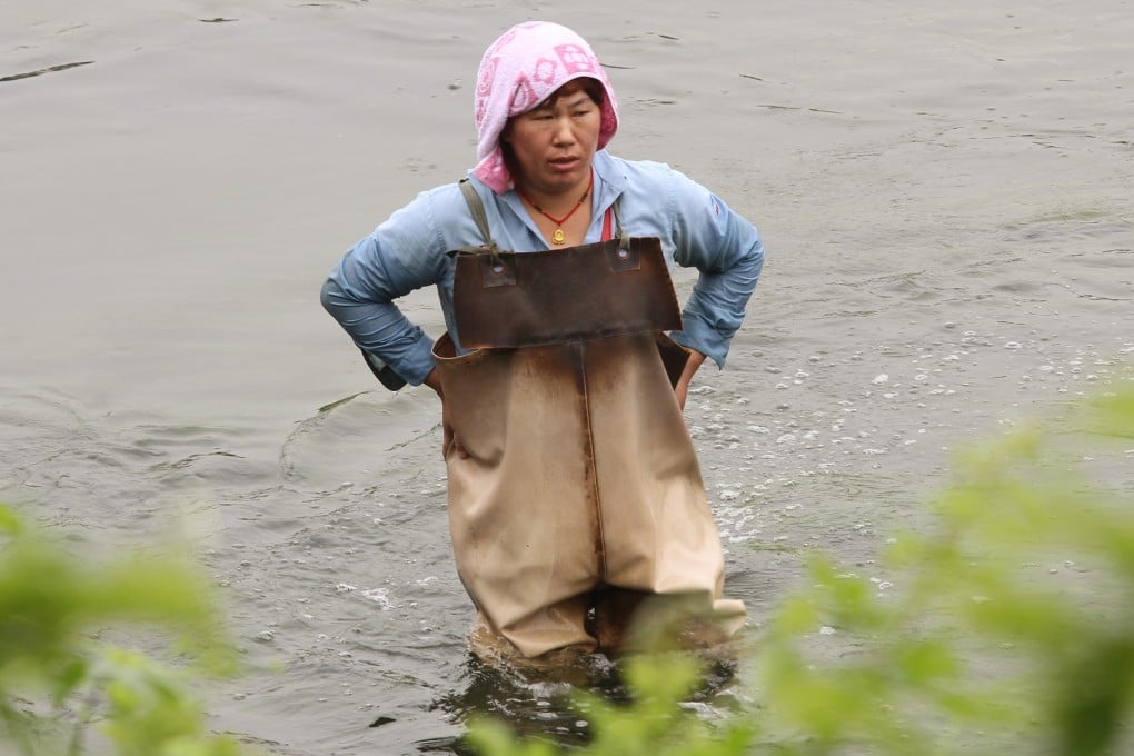 Gong Yanhua at work in the Qing River. Photo: Simon Song