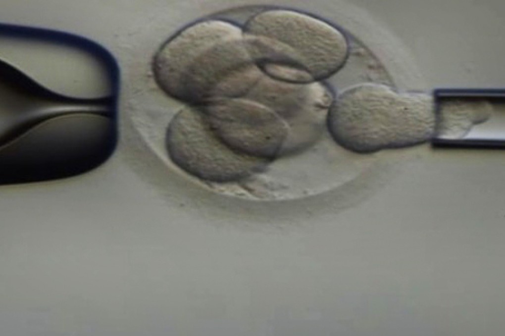A couple can now undergo checks for embryos' genetic disorders without breaking from their IVF treatment cycle. Photo: Centre for Reproductive and Genetic Health