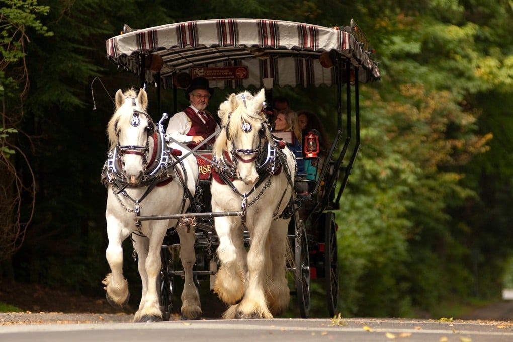 Gerry O’Neil, at the reins of one of his horse-drawn carriages, wants Chinese guests to enjoy Stanley Park to its full - but sees no need to create a Chinese-tailored operation. Photo: Stanley Park Horse-Drawn Tours