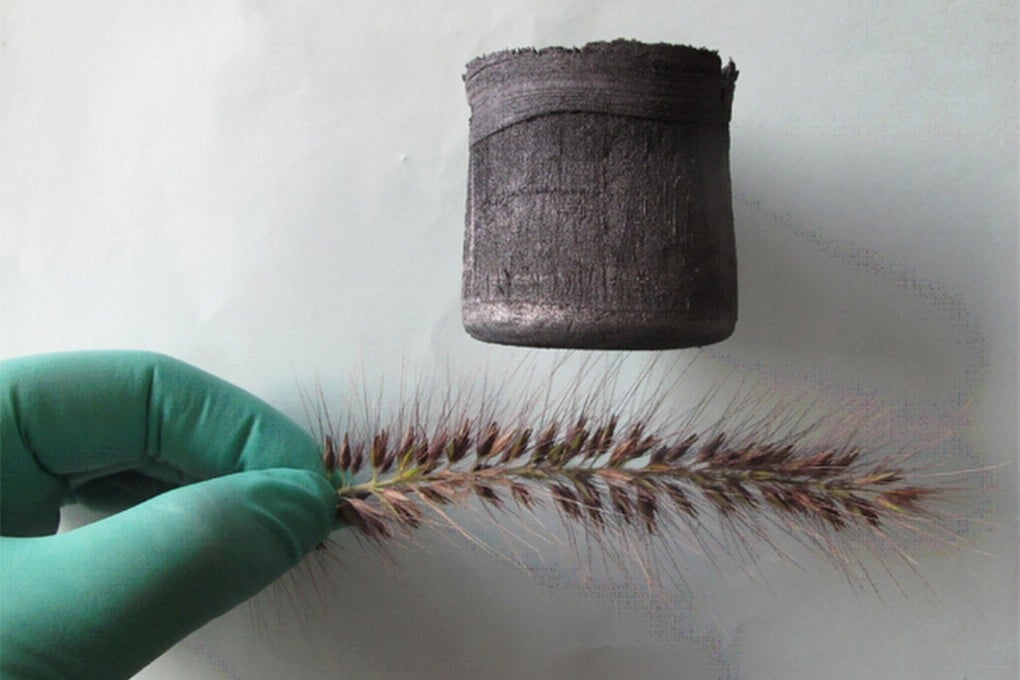 The newly developed carbon aerogel material is ultra light. Photo: SCMP Pictures