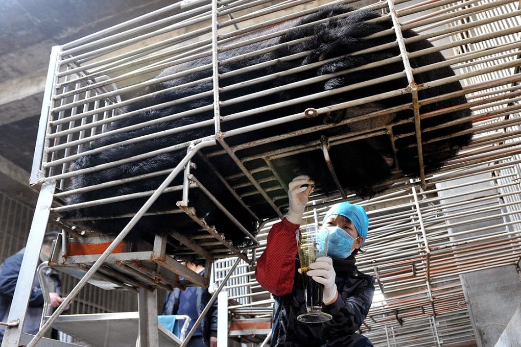 Activists hope this will be the end of bear bile farming. Photo: AFP