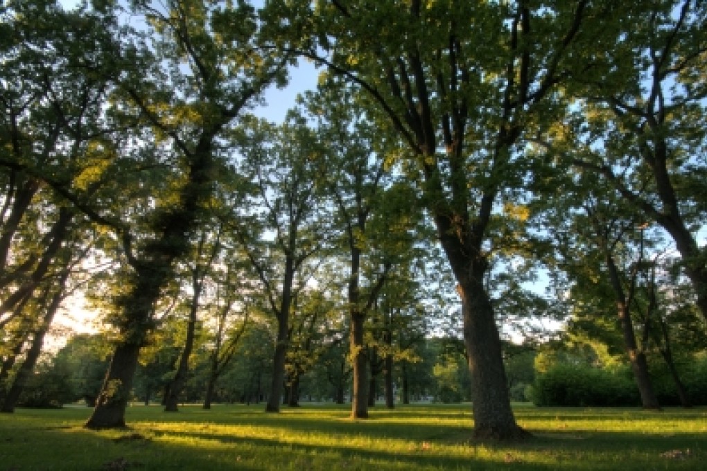 What is Recreation Management?