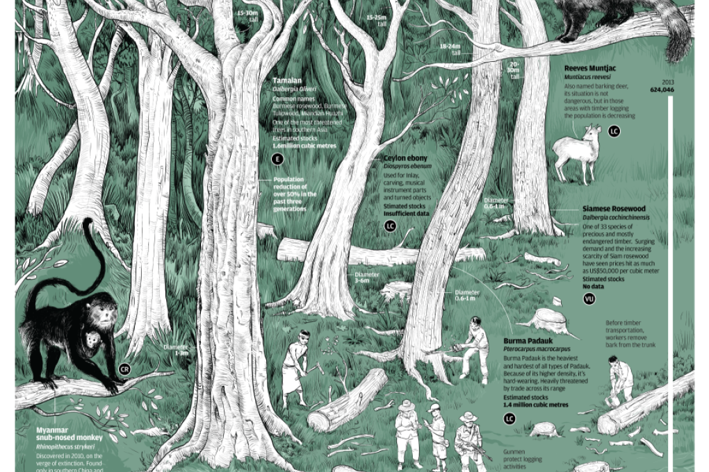 INFOGRAPHIC: The last days of rosewood