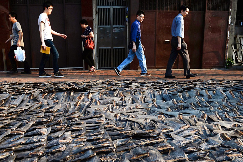 People walk past shark fins drying on a road in Hong Kong. Photo: AFP