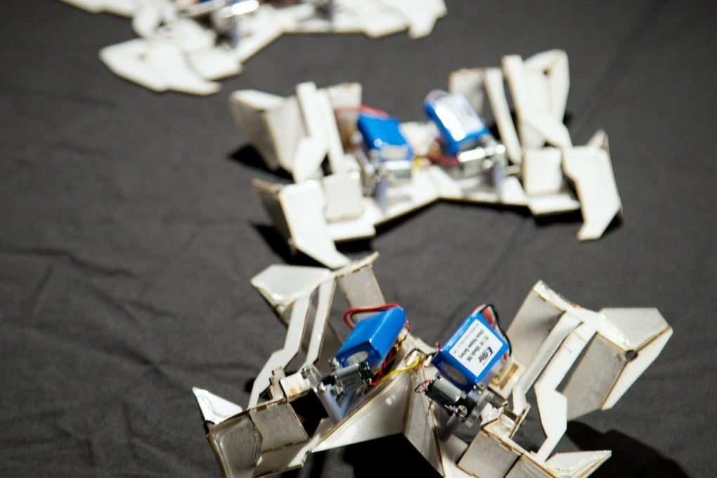 Self-folding robots which have been inspired by the Japanese art form of origami. Photo: AFP