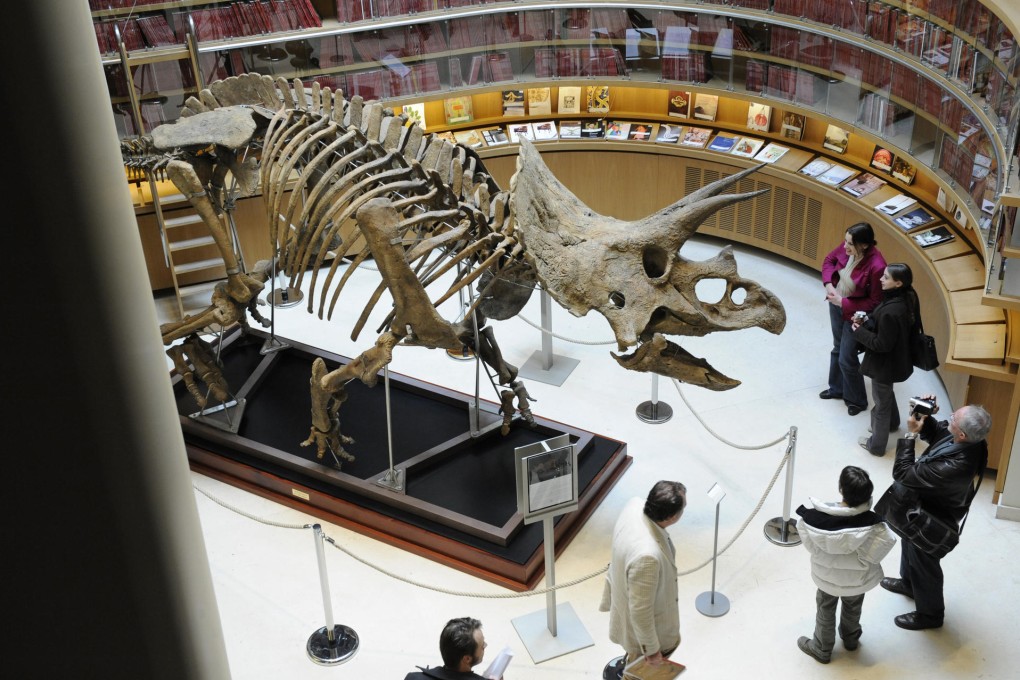 Triceratops became extinct about 66 million years ago. Photo: AFP