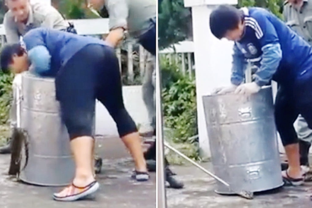 The snake catcher puts his weight on the bin (left) trapping the python's head and tail and (right) a policeman grabs the animal's head with a metal claw