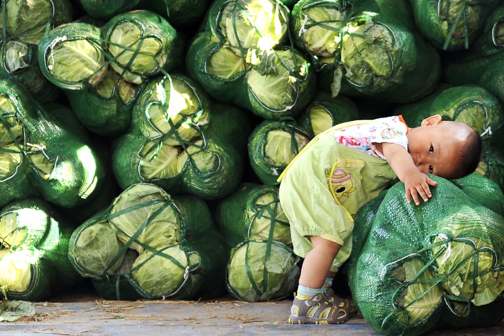 Analysts attributed the steady CPI to slides in prices for fresh fruit and vegetables, which offset rises in other categories. Photo: Reuters