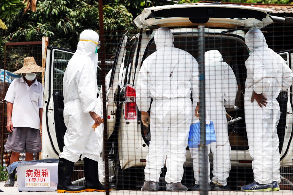 Staff from the Agriculture, Fisheries and Conservation Department collect samples from the Yuen Long farm yesterday. Photo: SCMP