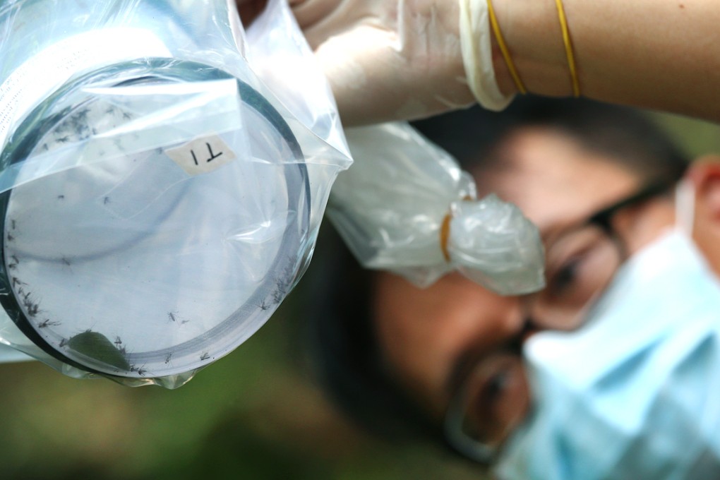 Tsoi lap-fu, officer from the Food and Environmental Hygiene Department, showing the mosquito trapping device during a Japanese encephalitis anti-mosquito measures operation in Tuen Mun. Photo: K. Y. Cheng