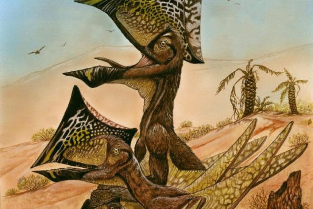 The reptiles had a wingspan of up to 2.35 metres. Image: Reuters