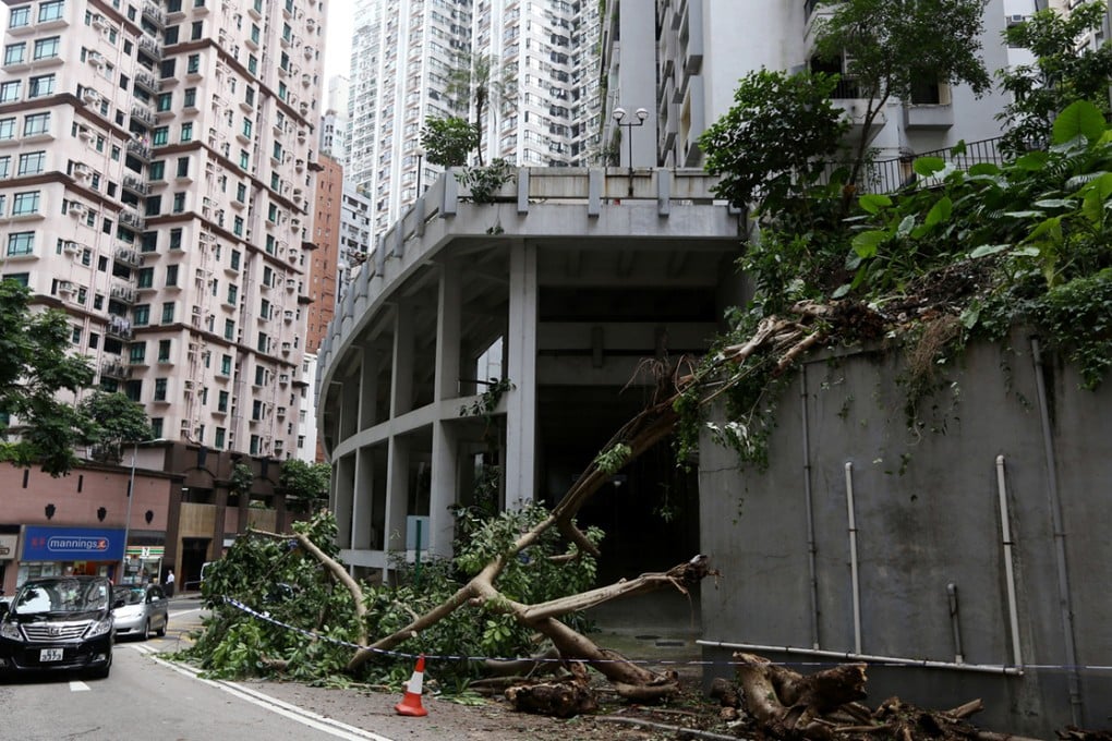 A tree collapsed and crushed a pregnant woman at Robinson Road in Mid-levels. With countless private trees scattered across the city, the threat to human life cannot be ignored. Photo: SCMP