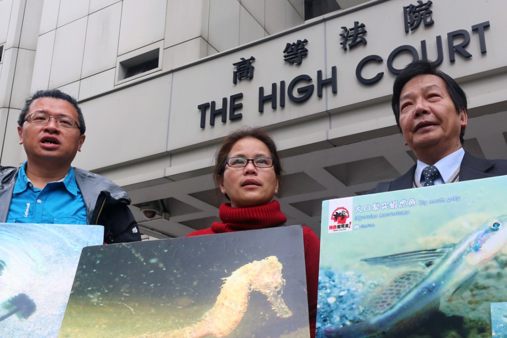 The High Court quashed the challenge filed by Ho Loy (centre) of the Save Lung Mei Alliance. Photo: David Wong