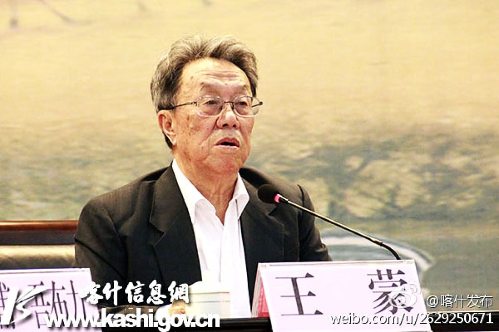 Wang Meng speaking in Kashgar last year. Photo: Screenshot via Weibo