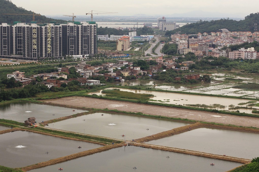 The wide span of the Humen Bridge connects Nansha to Shenzhen. Nansha, where high-rises are emerging alongside vegetable farms, was named in the 12th five-year plan as one of the three pilot economic and services zones in the Pearl River Delta. Photo: May Tse
