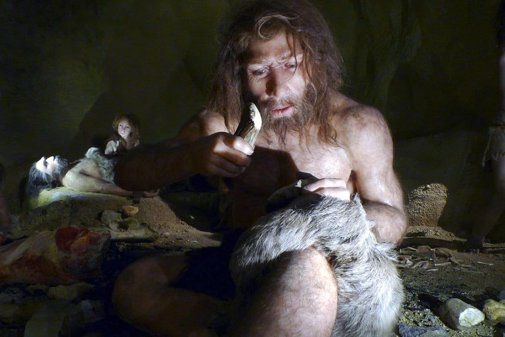 An exhibit shows the life of a neanderthal family in a cave in the Neanderthal Museum in the Netherlands. Photo: Reuters